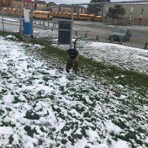 Meet your Posher, Tyrell